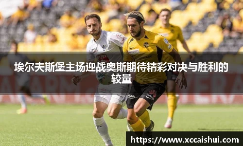 bellbet贝博APP