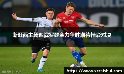 bellbet贝博官网