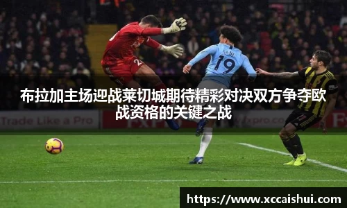 bellbet贝博官网