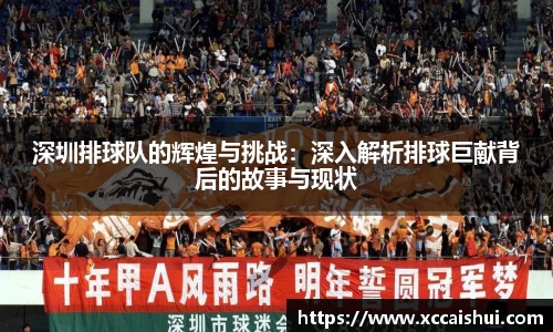 深圳排球队的辉煌与挑战：深入解析排球巨献背后的故事与现状